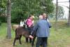 img_0244_t1.jpg